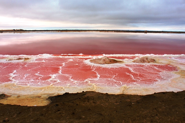 ピンク色の塩湖