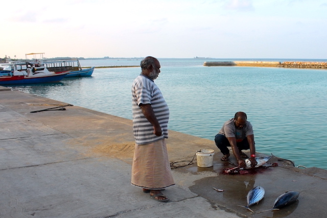 アッドゥ島の漁師