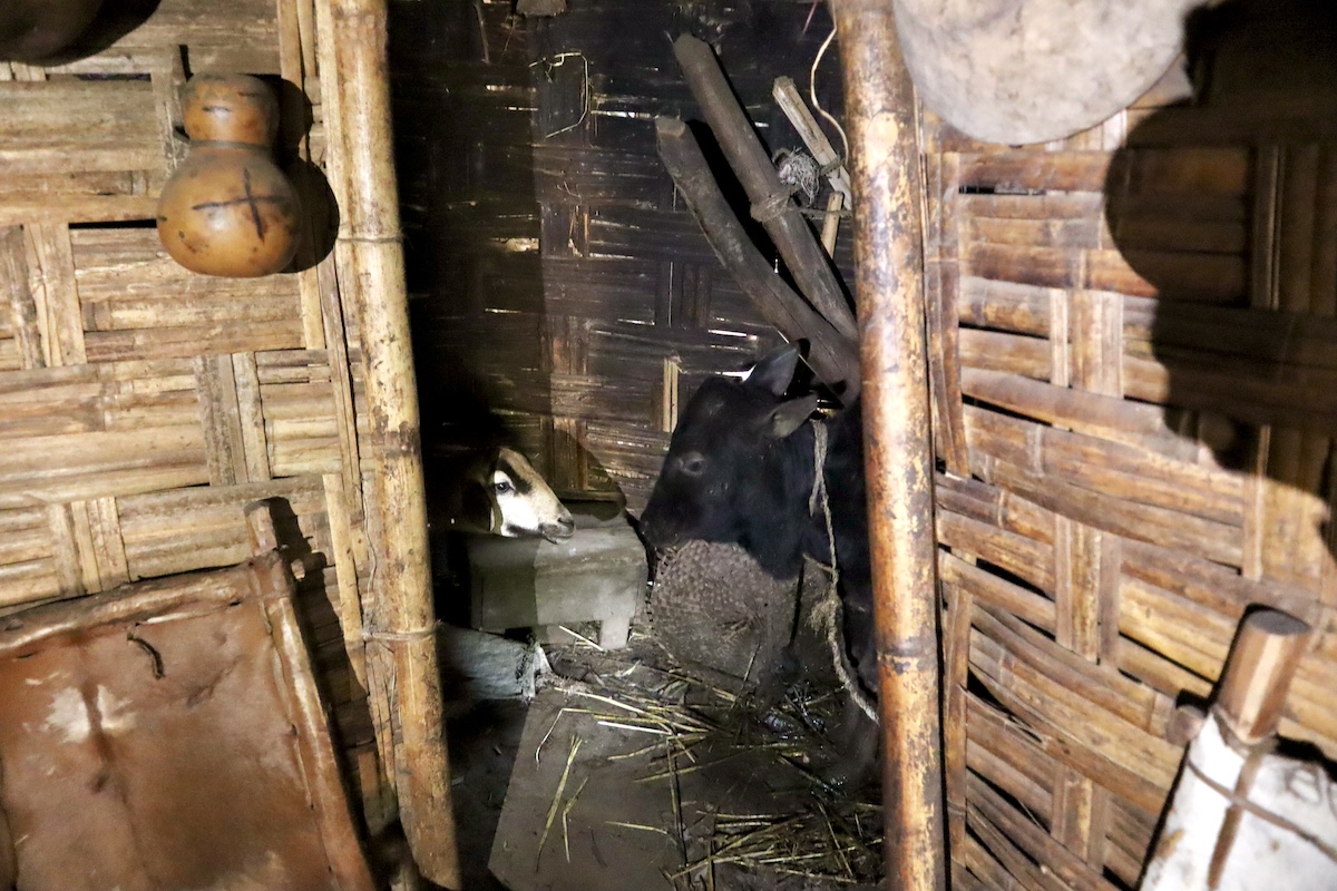 IMG 2316 家畜小屋