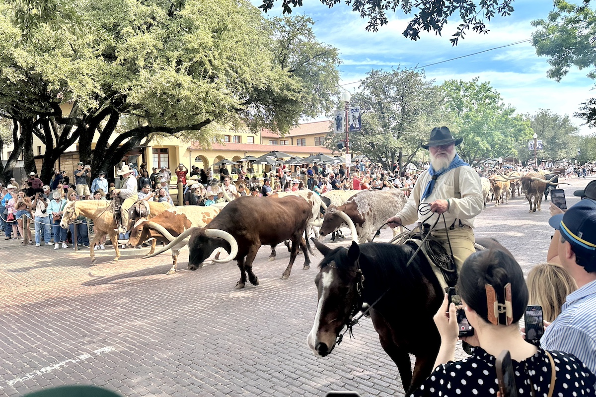 Texas 7 ロングホーンの行進