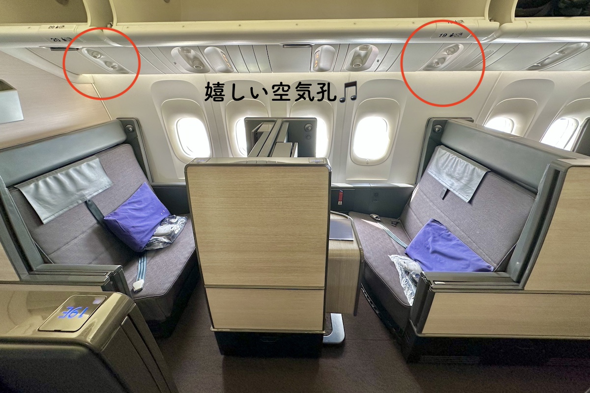IMG 0077c ANAのTHE Roomには空気孔が設置されている!