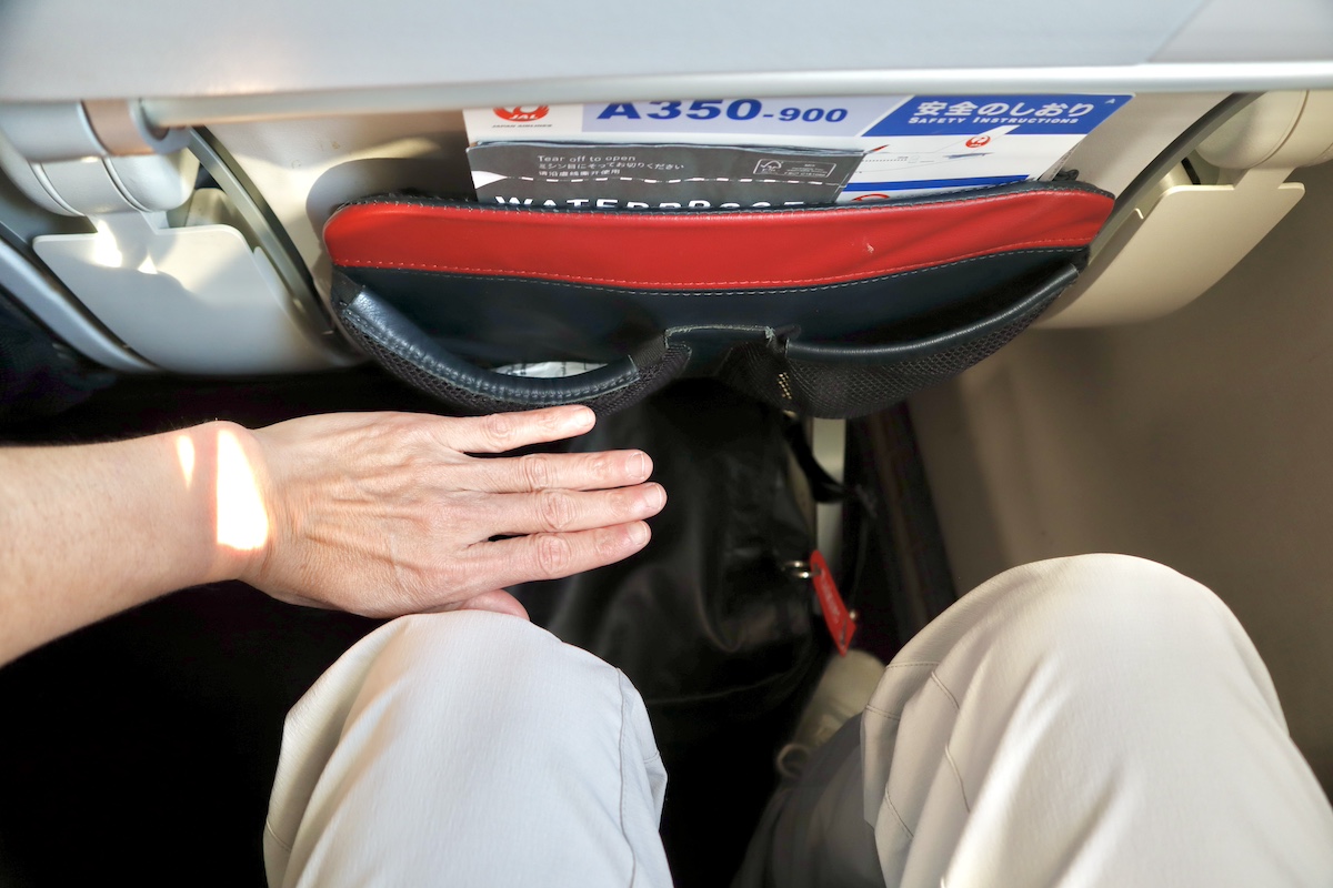 IMG 9420 JALA350普通席シートピッチ