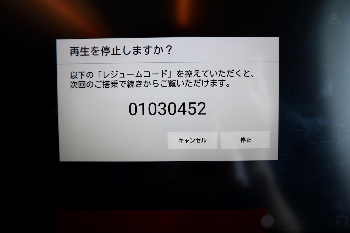 IMG 9446 JALのレジュームコード