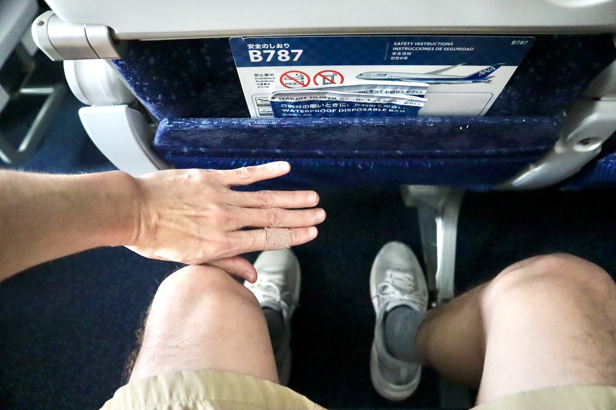 IMG 9521 ANA787-10普通席シートピッチ