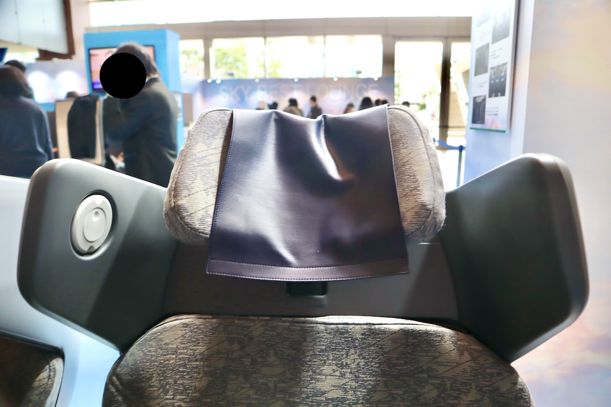 IMG 9604 ウィングパネルと可動式ヘッドレスト